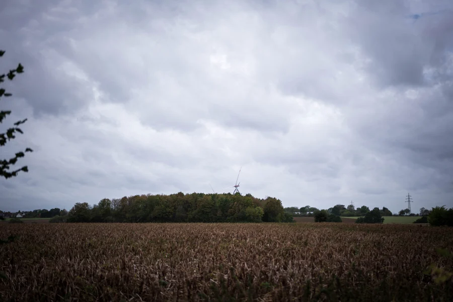 Dunkles Feld und Baumreihe unter einem grauen Wolkenhimmel