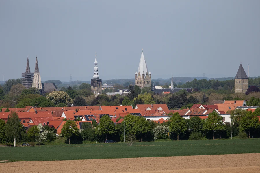 Blick über ein Feld auf rote Dächer und Kirchtürme