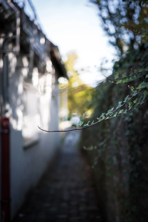 Eine enge gepflasterte Gasse zwischen einer weißen Hauswand und einer Hecke