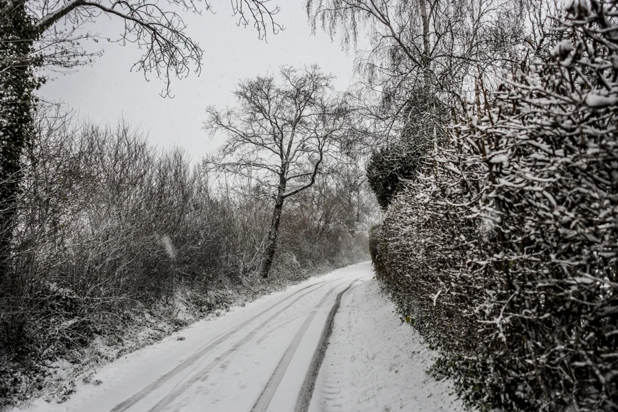 Schwarzweißer Weg zwischen kahlen Bäumen und winterlichen Hecken