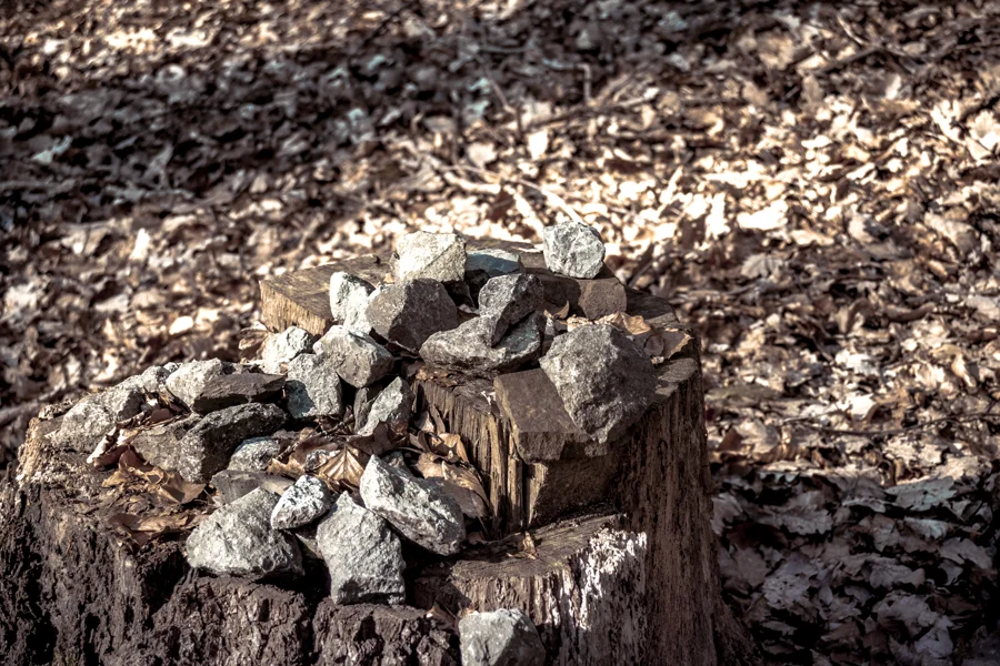 Struktur von Holz und Steinen im Wald
