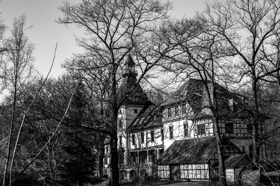 Historisches Haus hinter kahlen Bäumen in Schwarzweiß
