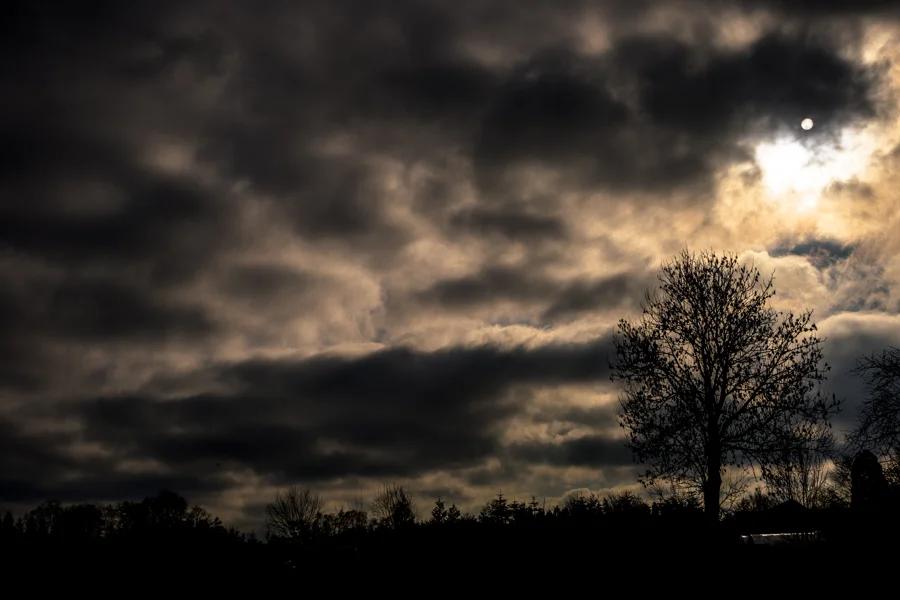 Dramatische Wolken über Feldern und einer fernen Baumreihe