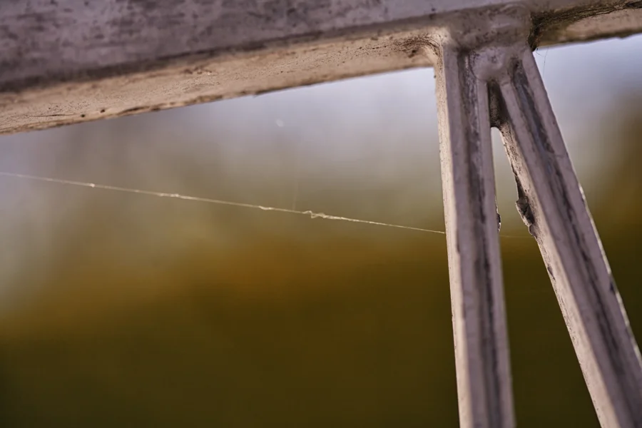 Feines Spinnennetz vor einem weichen Hintergrund