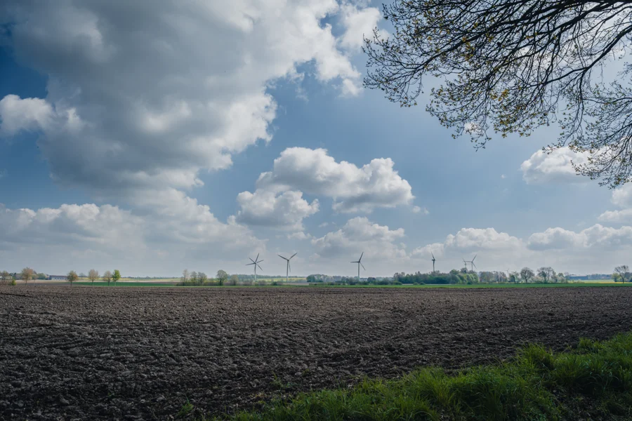 Felder und Pflanzen unter weitem Himmel